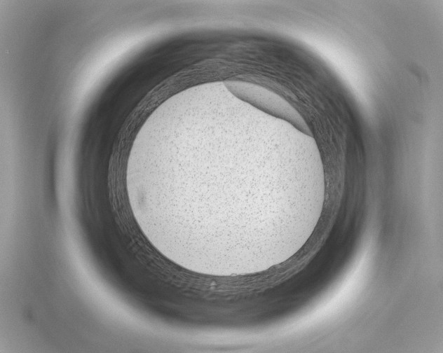 X0000115350191200912151344