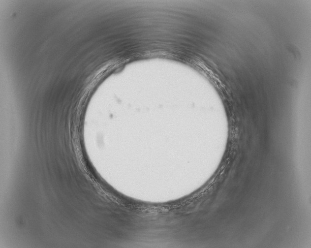 X0000115350193200912151343