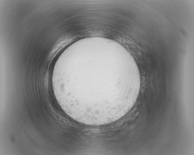 X0000115350194200912151343