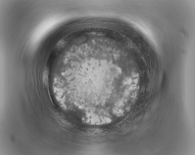 X0000115350195200912151343