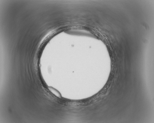 X0000115350197200912151343