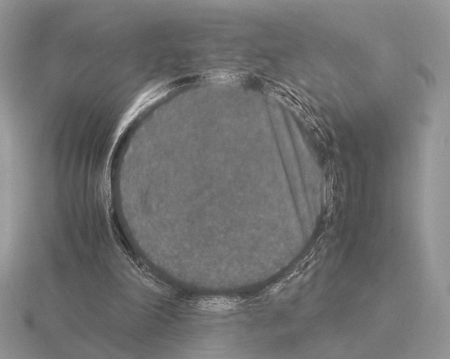 X0000115350198200912151343