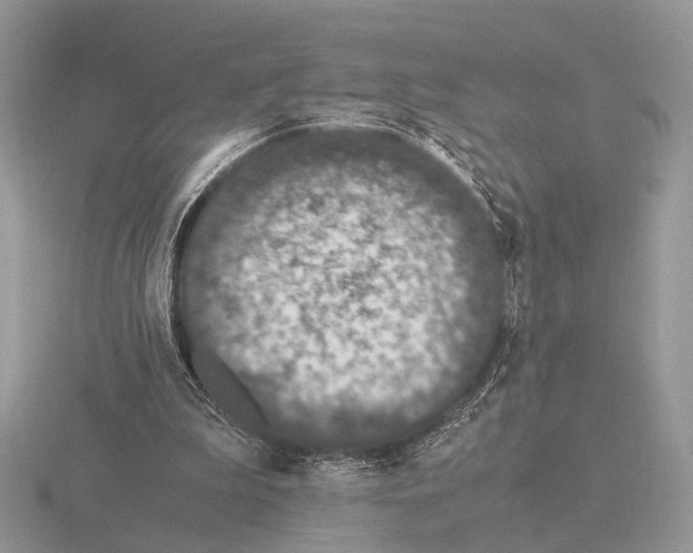 X0000115350199200912151343