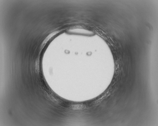 X0000115350200200912151343