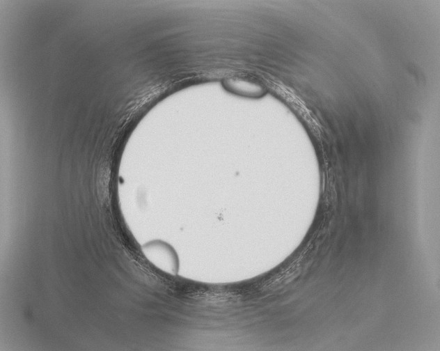 X0000115350201200912151343