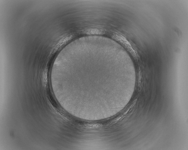 X0000115350202200912151343