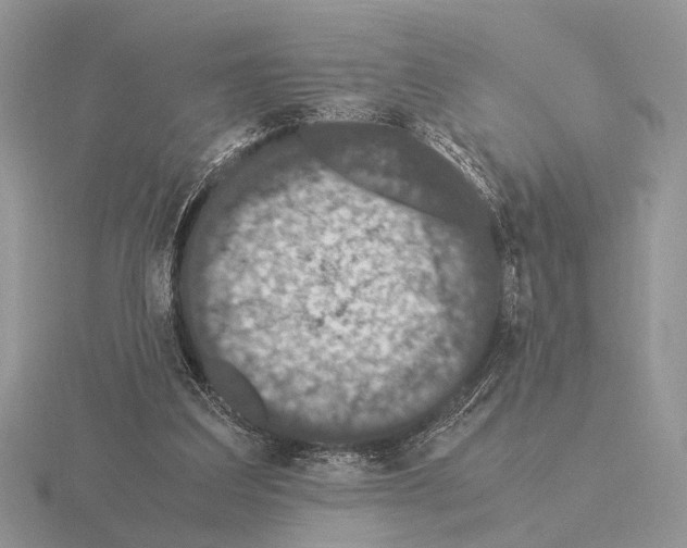 X0000115350203200912151343