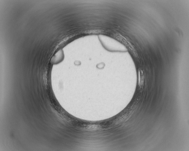 X0000115350204200912151343