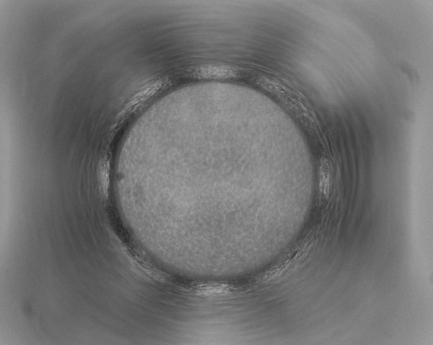 X0000115350206200912151343