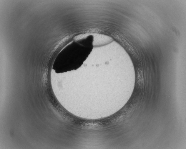 X0000115350208200912151343