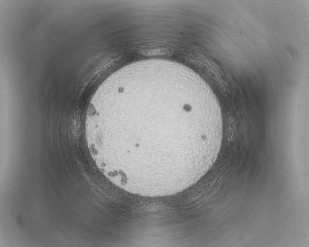 X0000115350210200912151343