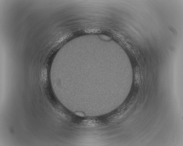 X0000115350211200912151343