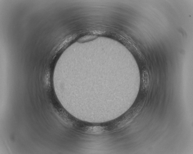 X0000115350212200912151343