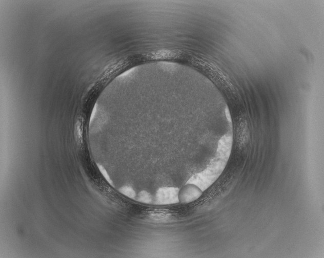 X0000115350214200912151343