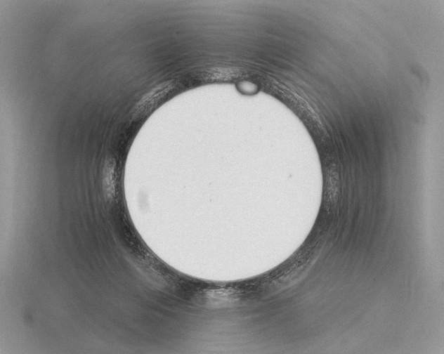 X0000115350216200912151343