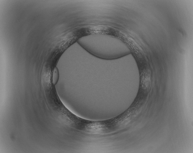 X0000115350219200912151343