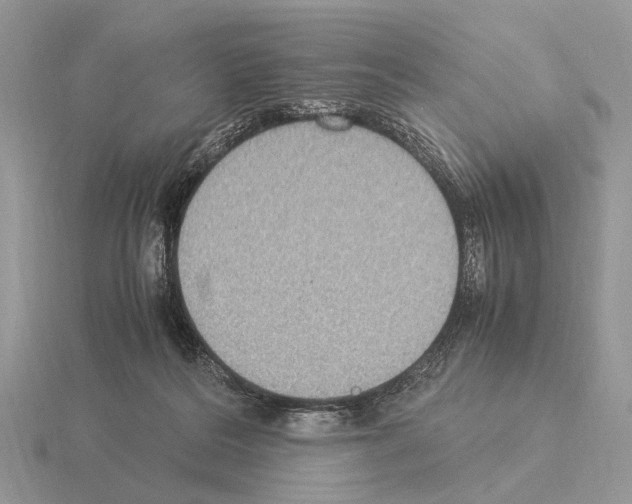 X0000115350220200912151343