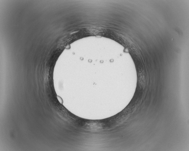 X0000115350221200912151343