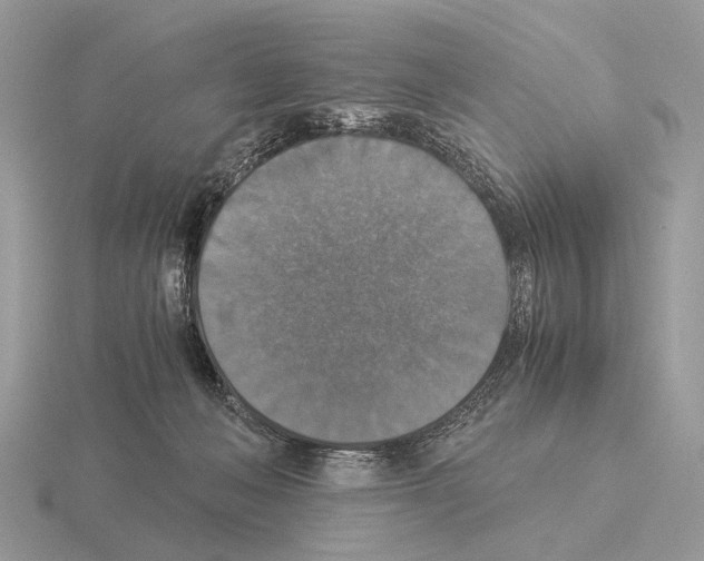 X0000115350222200912151343