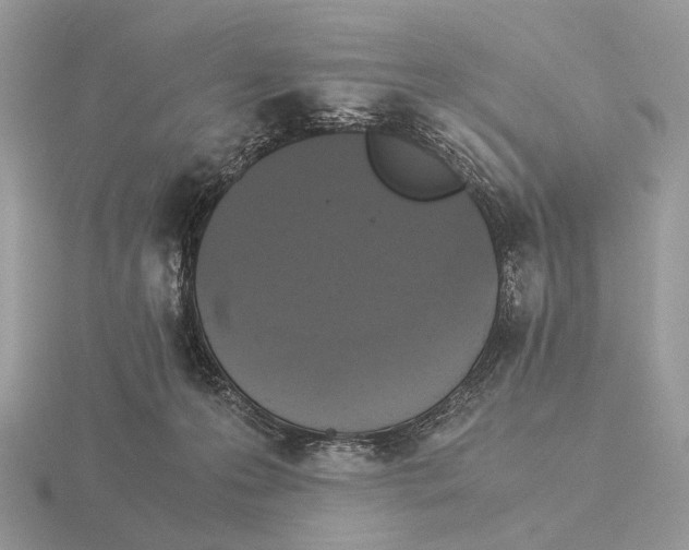 X0000115350223200912151343