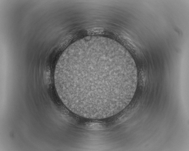 X0000115350224200912151343