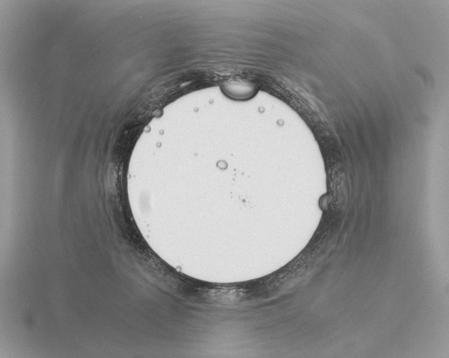 X0000115350225200912151343