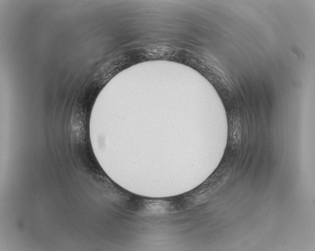 X0000115350226200912151343