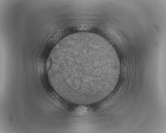 X0000115350227200912151343