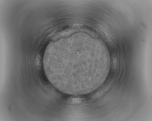 X0000115350228200912151343