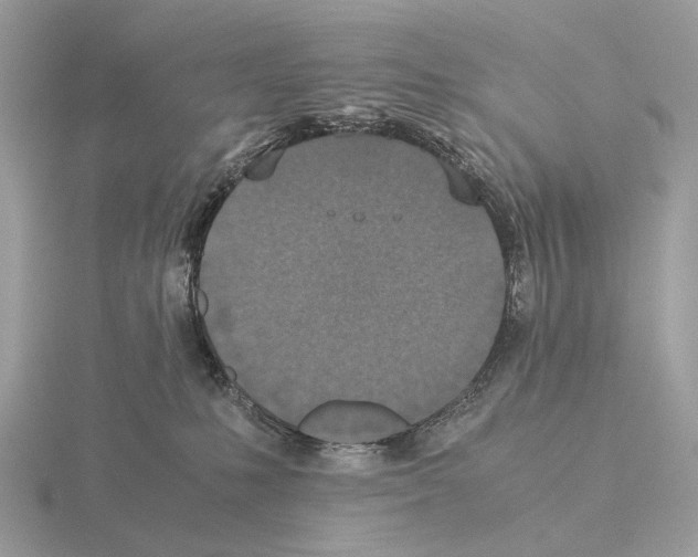 X0000115350231200912151343