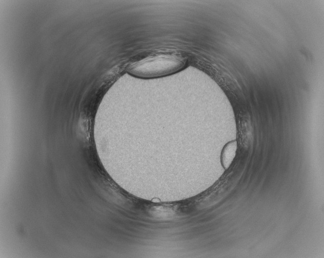 X0000115350232200912151343