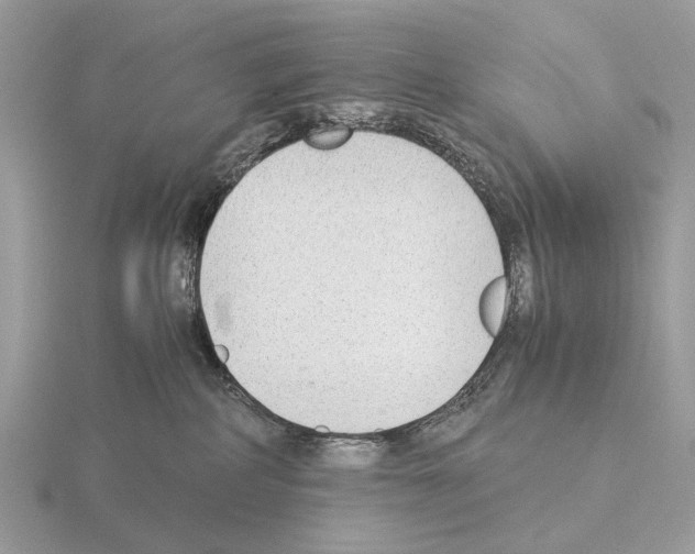 X0000115350234200912151343