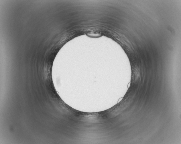 X0000115350236200912151343