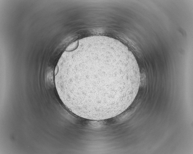 X0000115350238200912151343