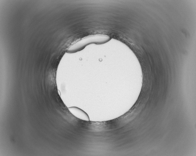 X0000115350240200912151343