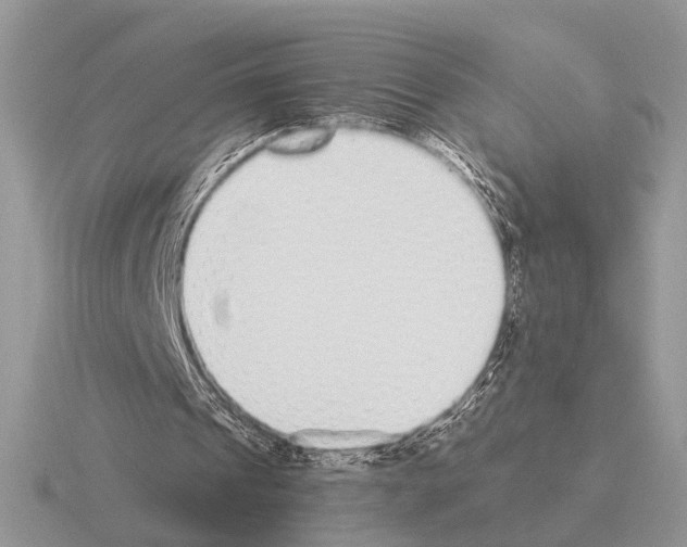 X0000115350241200912151342