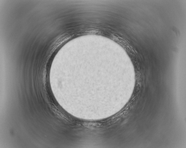 X0000115350242200912151342