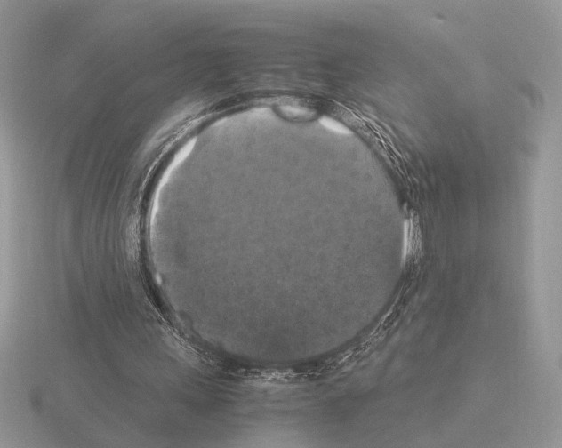 X0000115350243200912151342