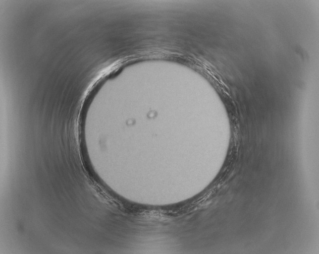 X0000115350244200912151342