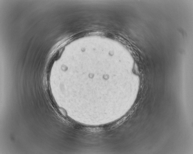 X0000115350245200912151342