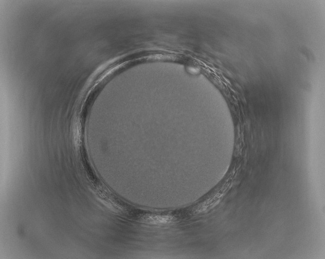 X0000115350247200912151342