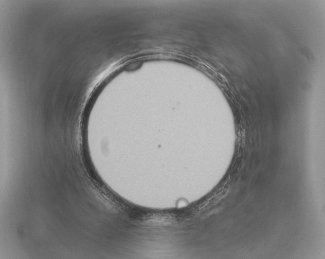 X0000115350248200912151342