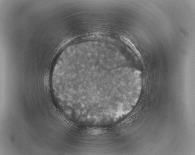 X0000115350249200912151342