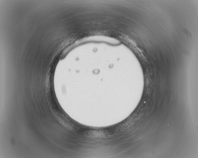 X0000115350250200912151342