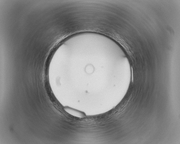 X0000115350252200912151342