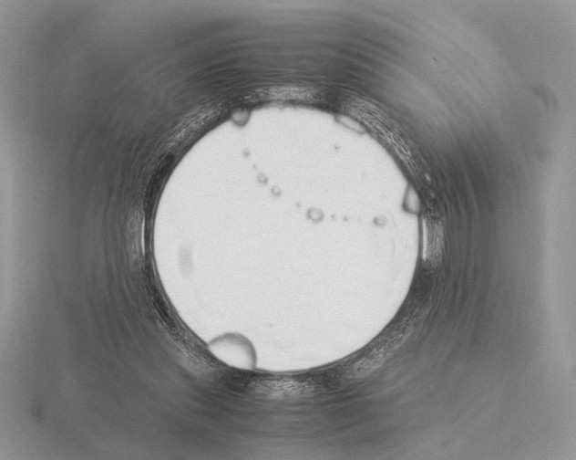 X0000115350253200912151342