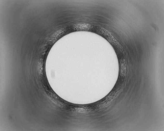 X0000115350259200912151342