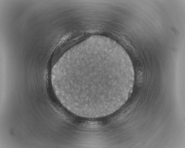 X0000115350260200912151342