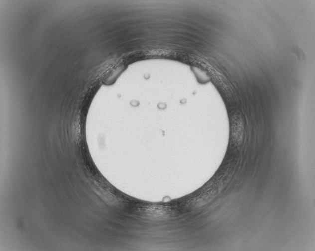 X0000115350261200912151342