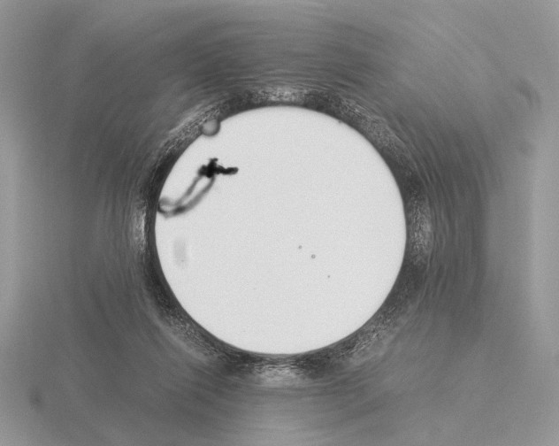 X0000115350262200912151342